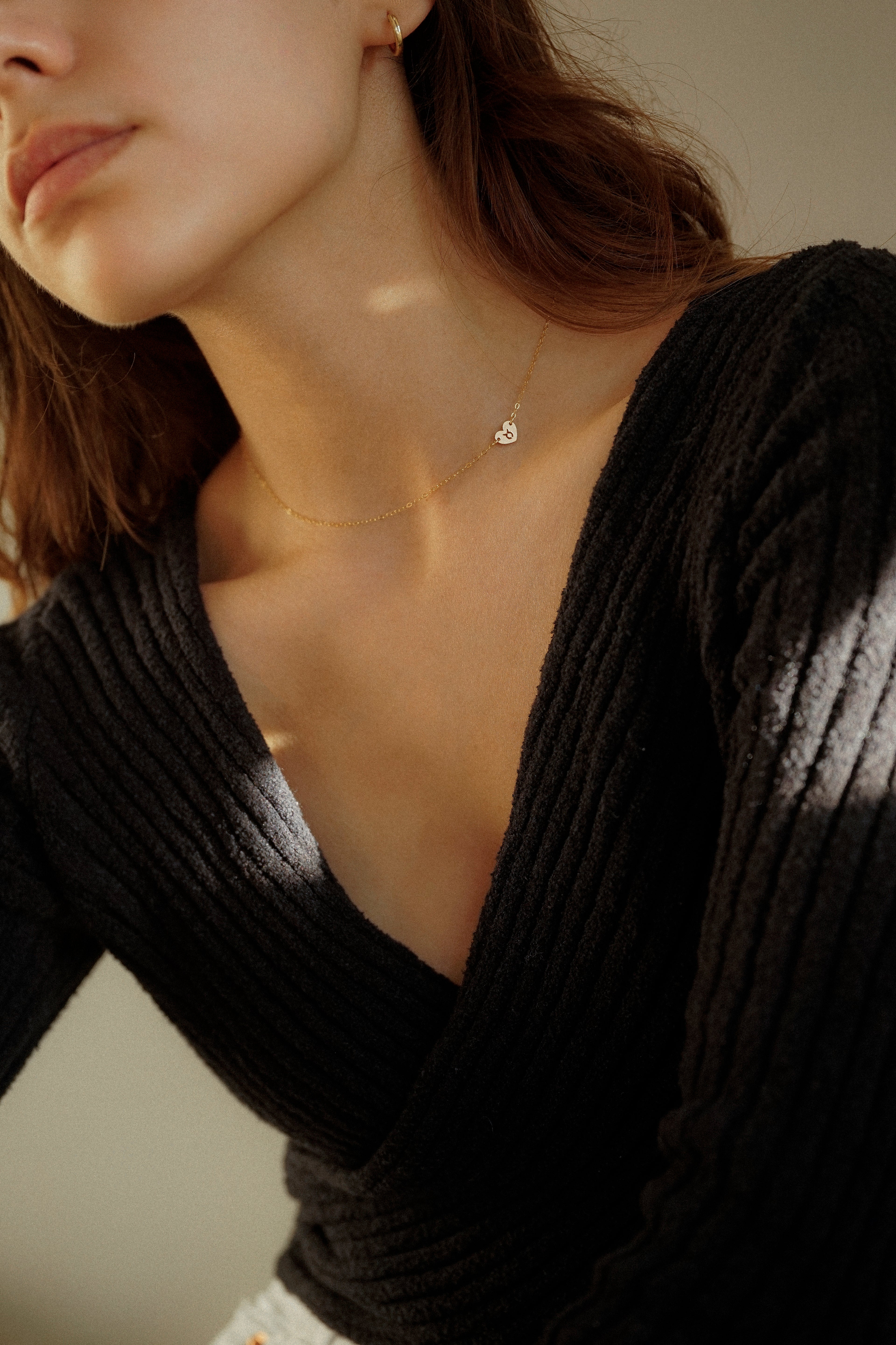 Zodiac Star Sign Heart Necklace