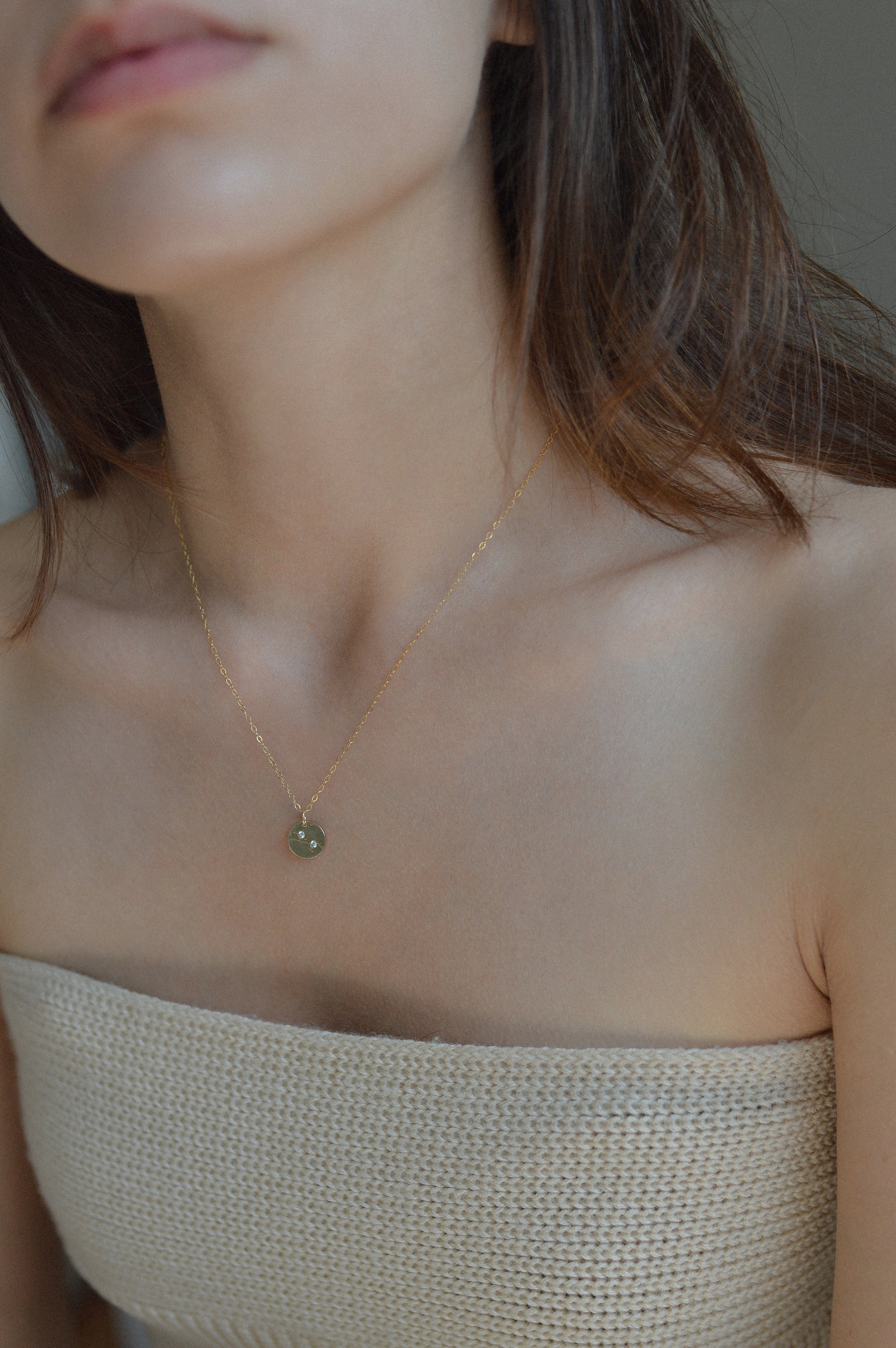 Star Sign Cubic Zirconia Disc Necklace