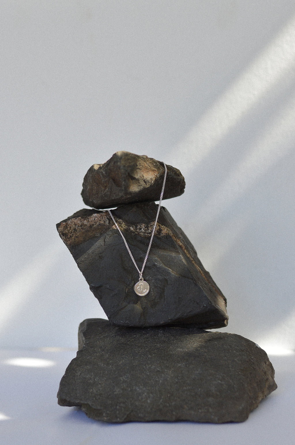 Star Sign Coin Necklace