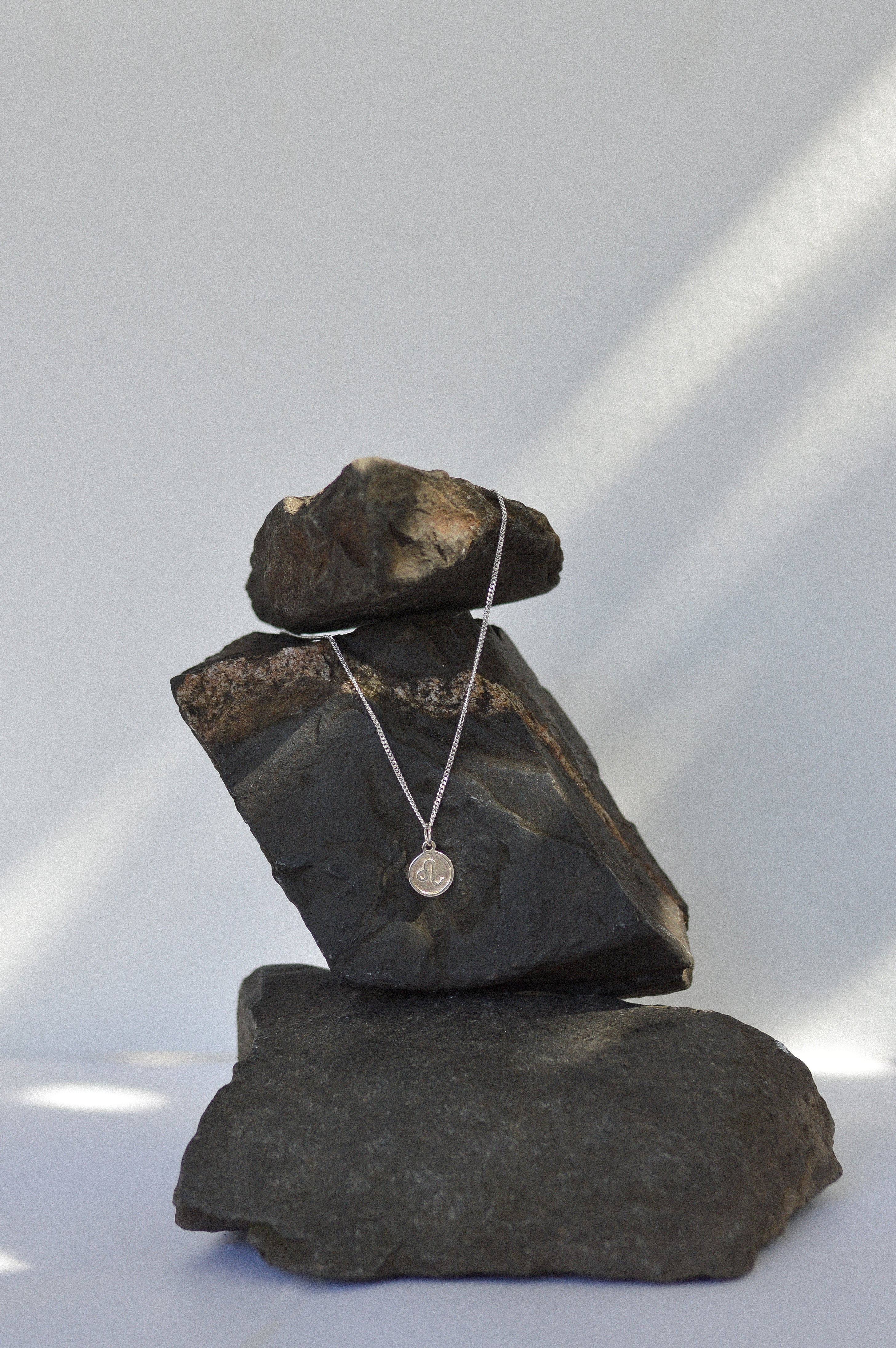 Star Sign Coin Necklace