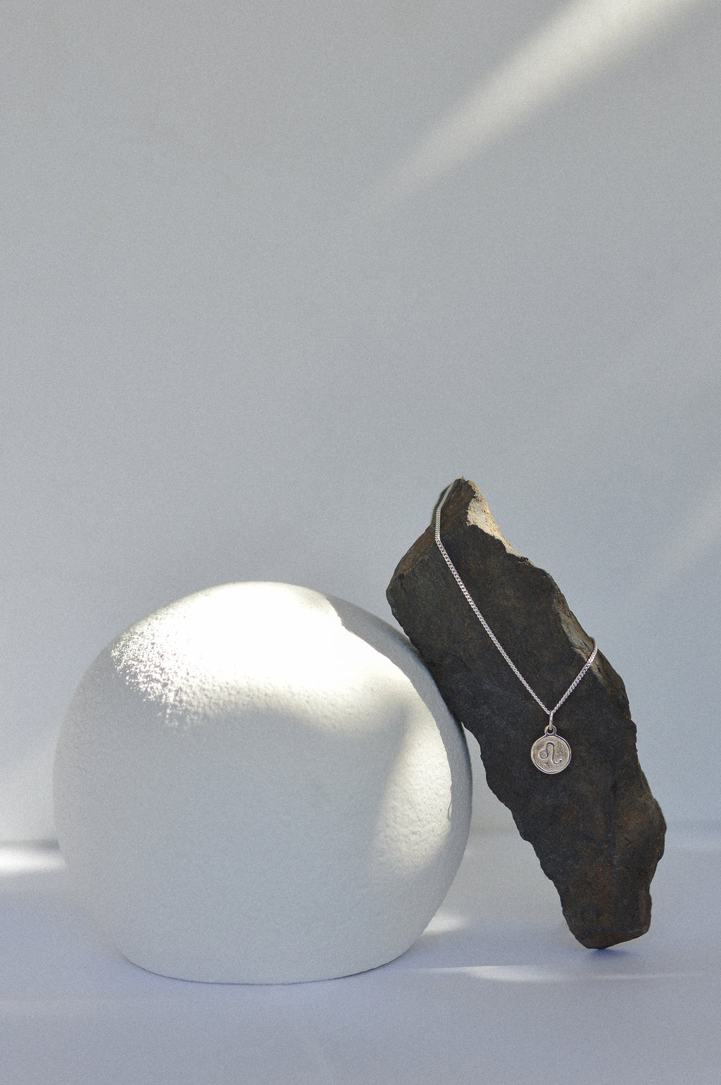 Star Sign Coin Necklace