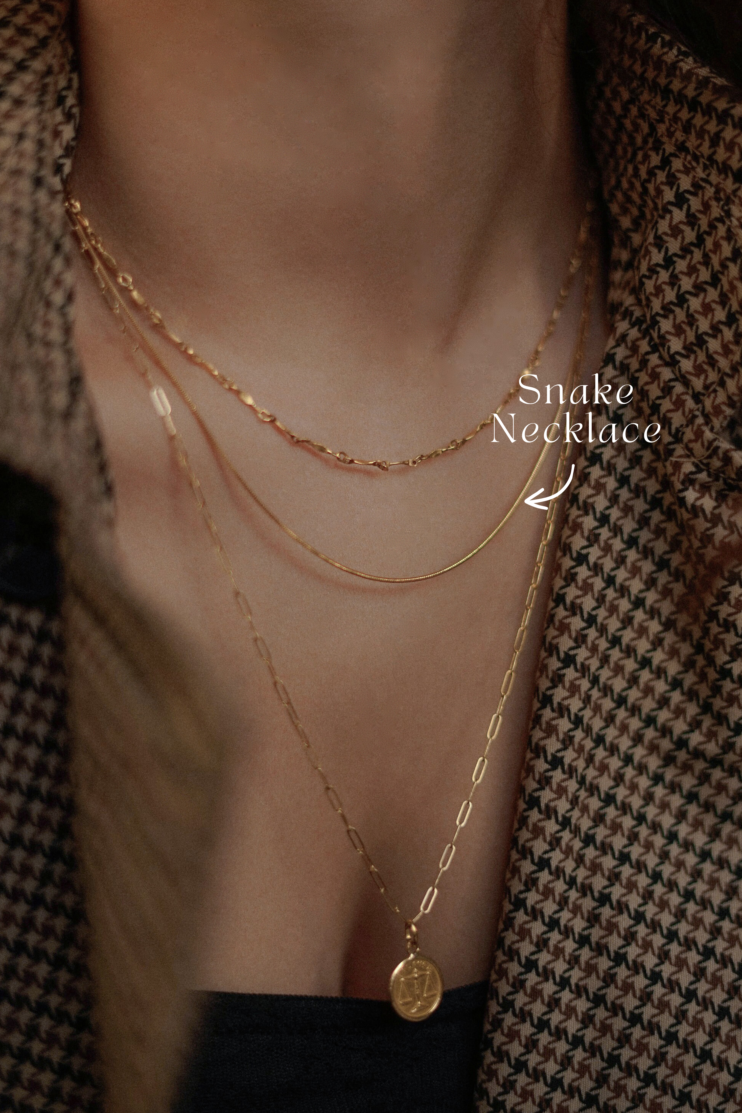 Snake Chain Necklace