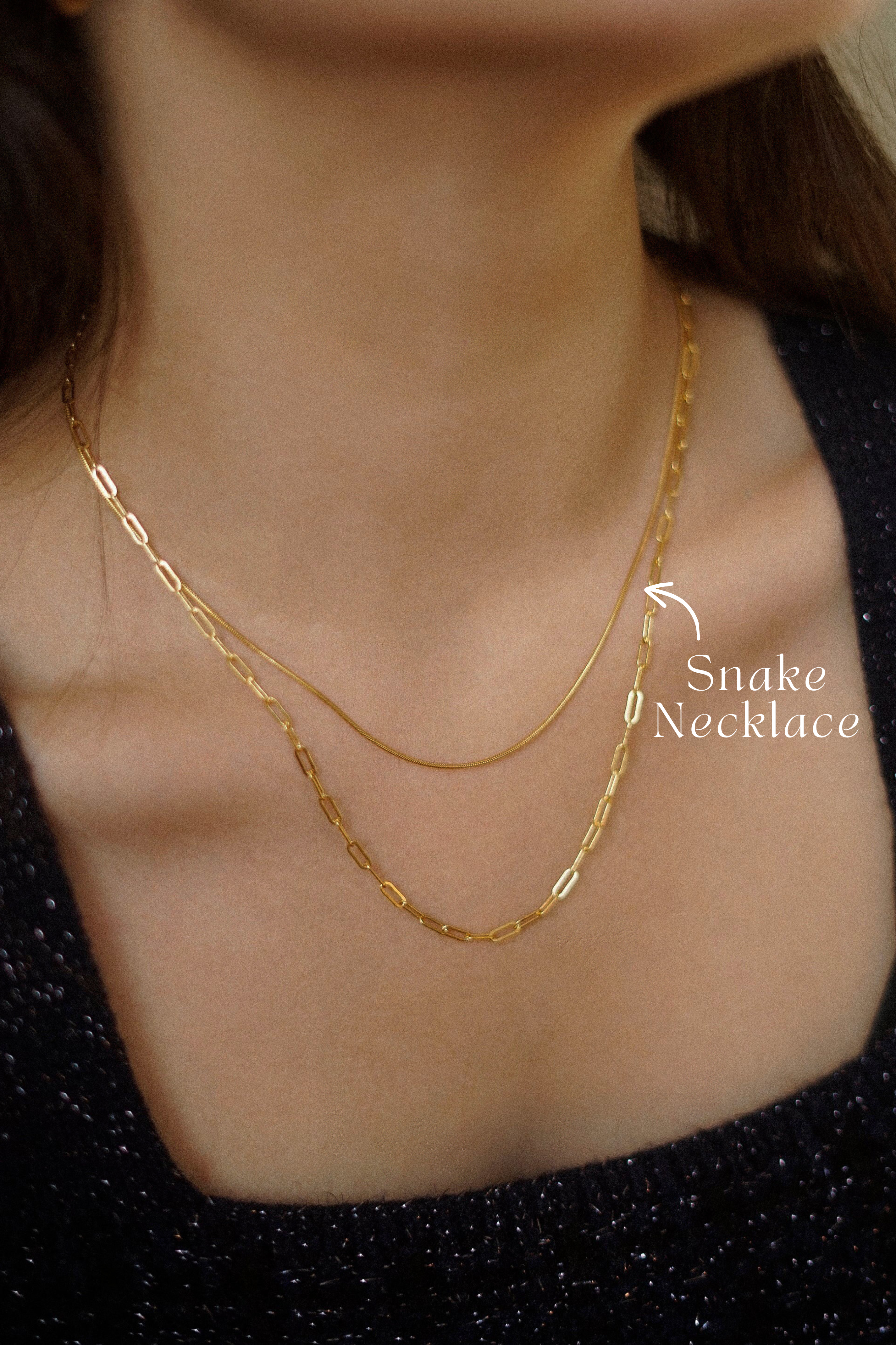 Snake Chain Necklace